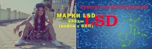 хмурый Вяземский