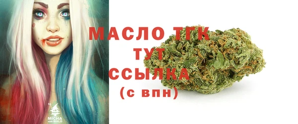 хмурый Вяземский