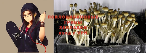 хмурый Вяземский
