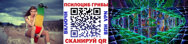 Купить где  Фролово  Галлюциногенные грибы Magic Shrooms 